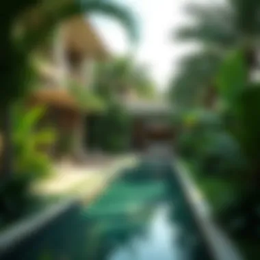 Beautiful Lush Garden Lush garden view of a Jumeirah villa