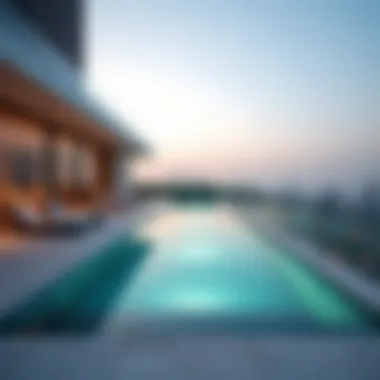 Rooftop Terrace Featuring an Infinity Pool Sophisticated rooftop terrace with infinity pool